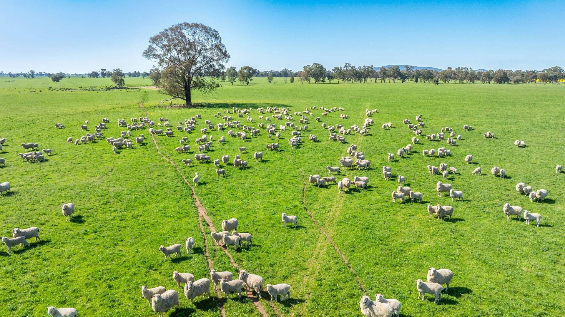 Additional image 17 of BOOROOL Mossdale Road, Balldale NSW 2646