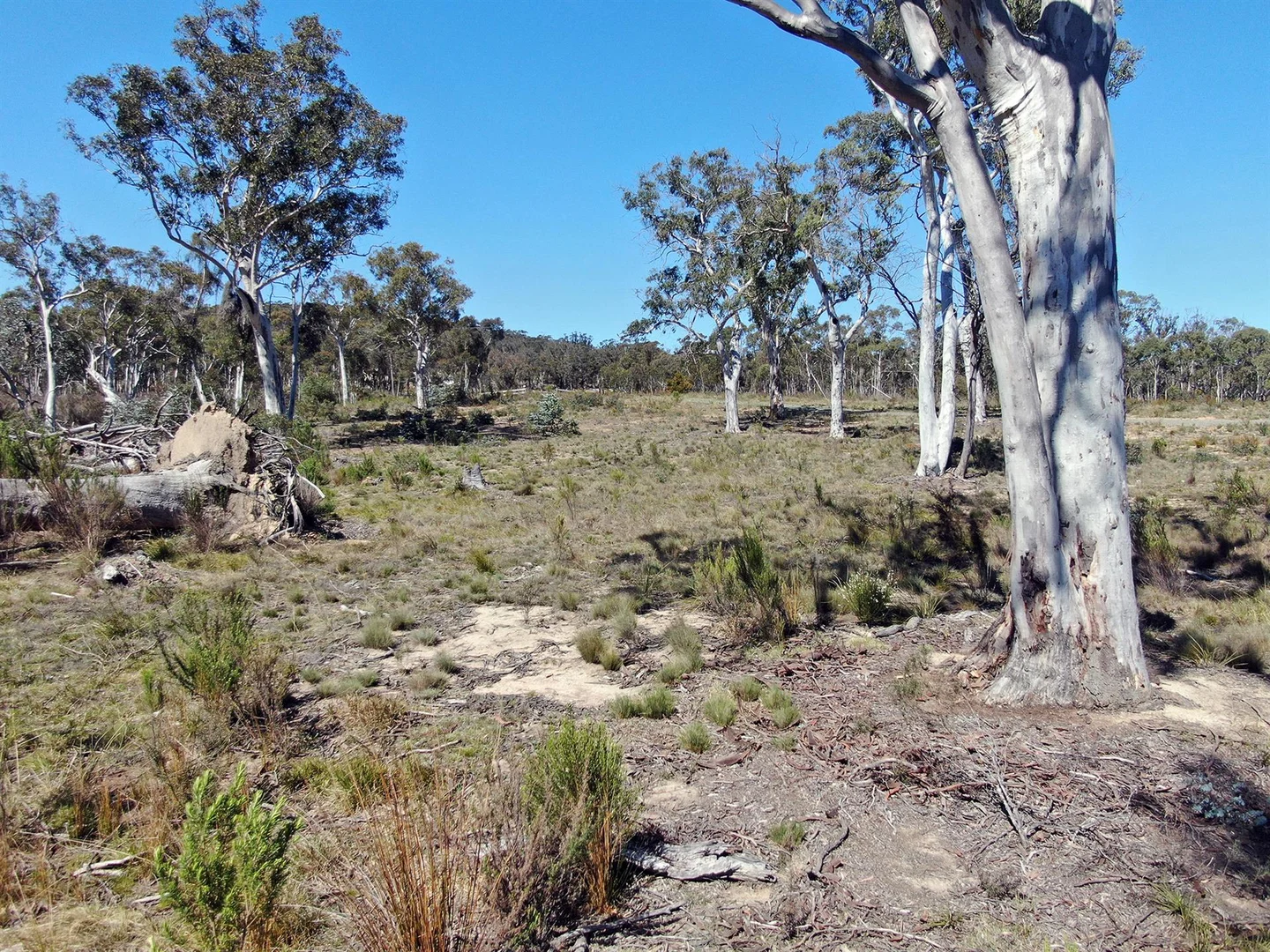 Additional image 9 of 1519 Mountain Ash Road, Bungonia NSW 2580