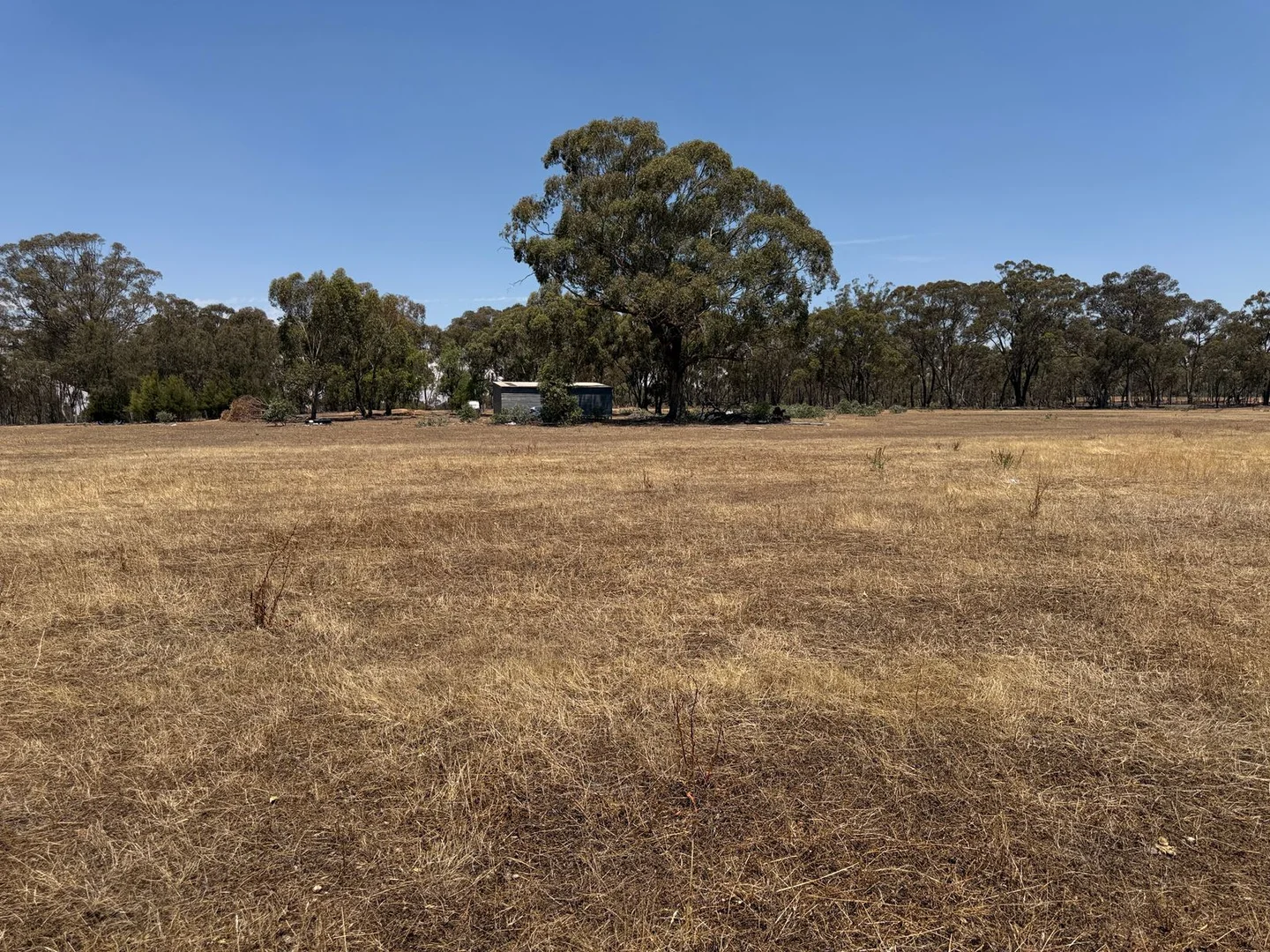 Additional image 8 of 372 Stuart Mill Road, Dunolly VIC 3472