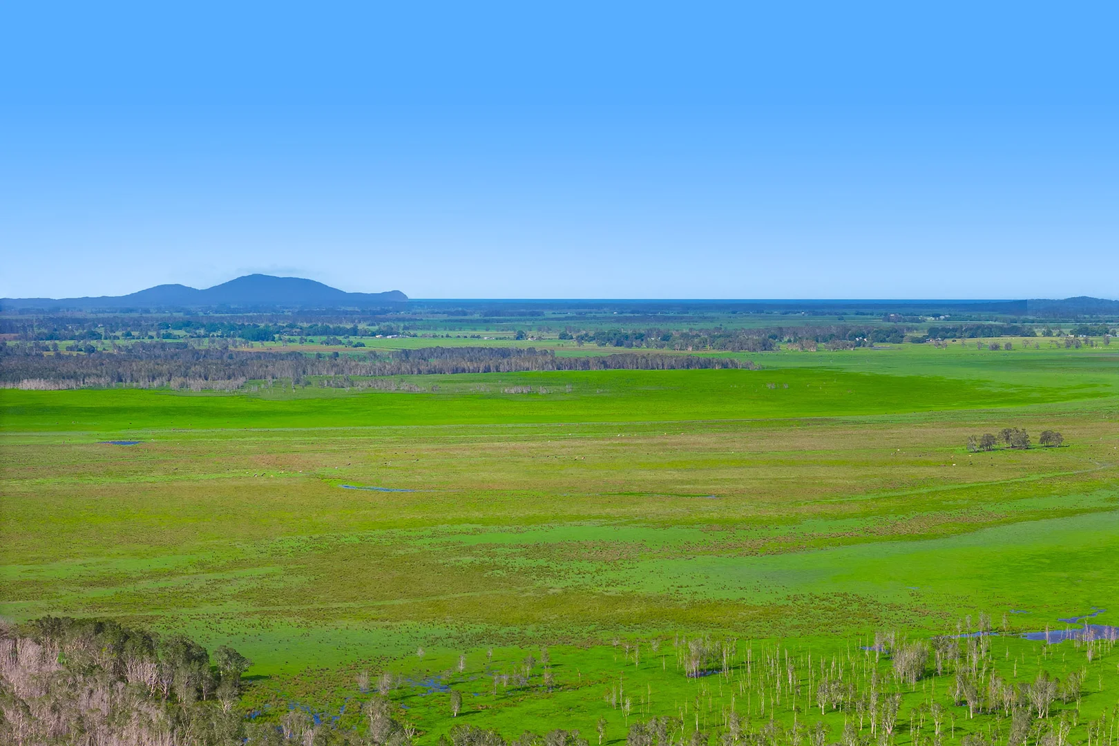 Additional image 11 of 1/437 Seale Road, Belmore River NSW 2440