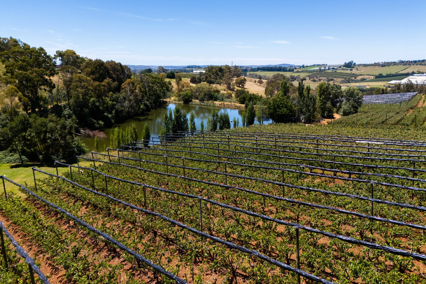 Additional image 4 of 293 Nancarrow Lane, Orange NSW 2800