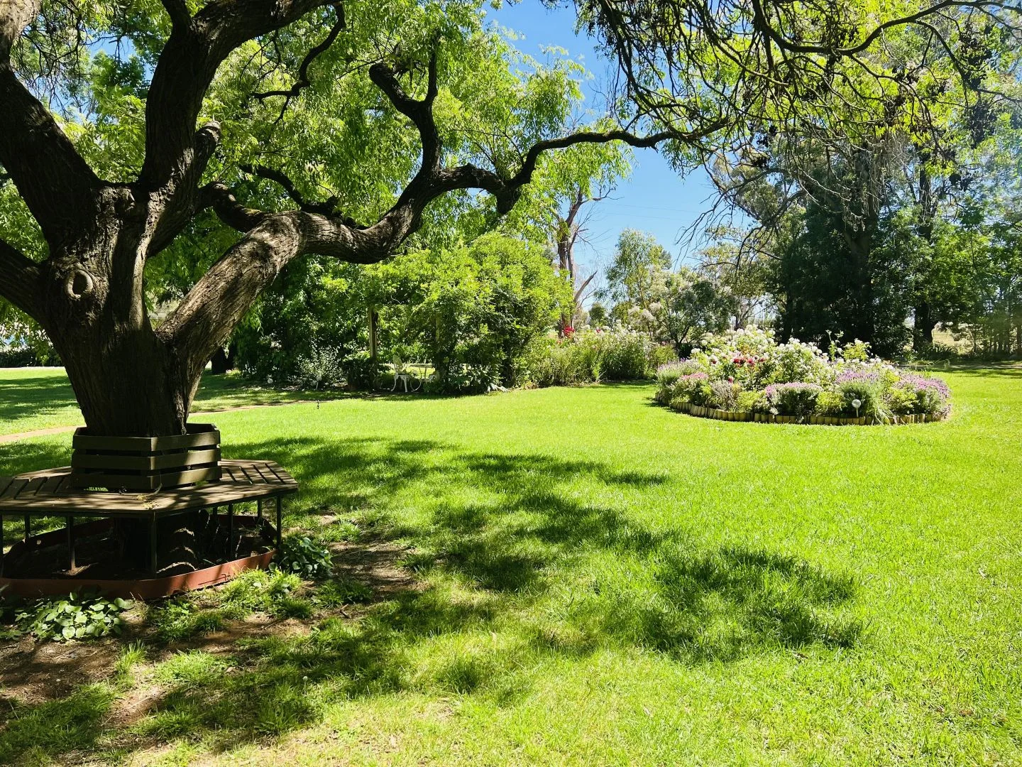 Additional image 8 of 651 Jerilderie Road, Berrigan NSW 2712