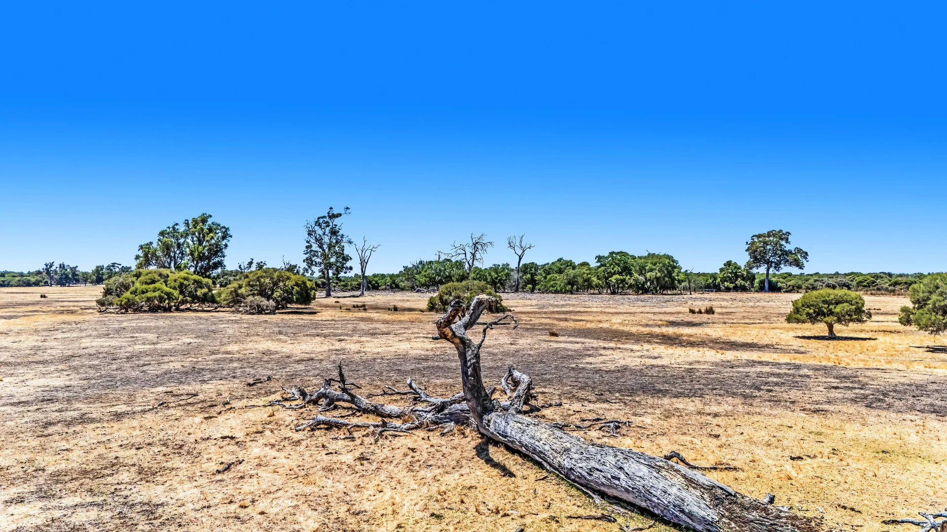 Additional image 33 of Lot 1 Jilley Road, Boyanup WA 6237