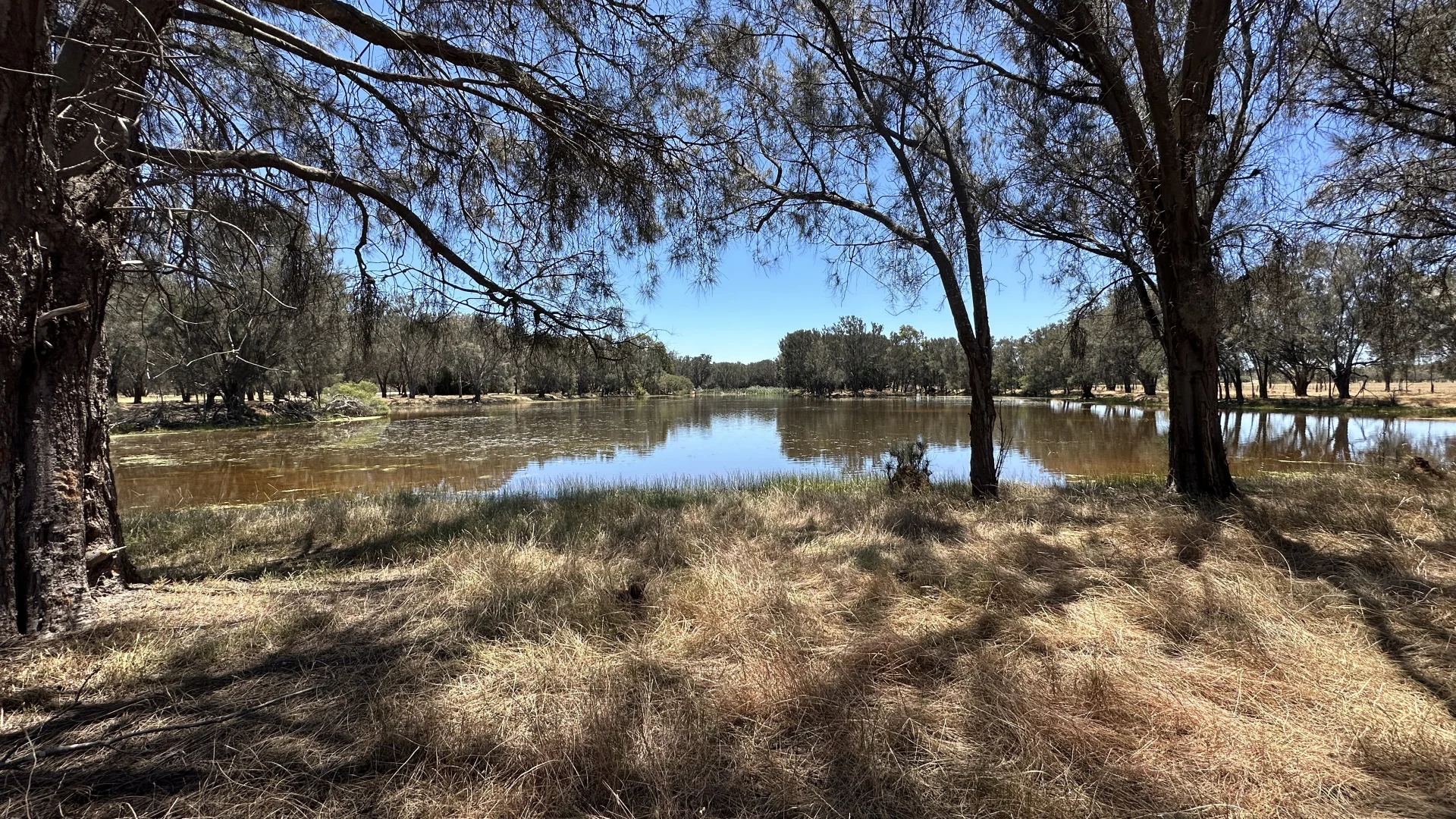 Additional image 5 of 1863 Thomas Road, Oakford WA 6121