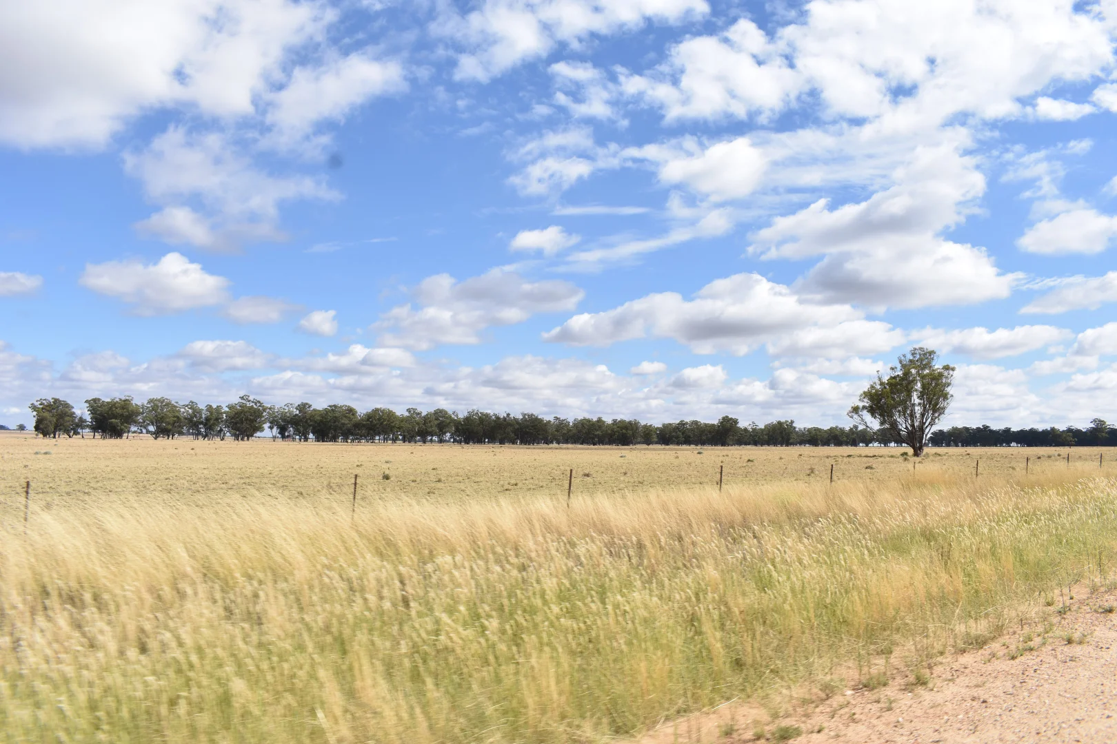 Additional image 53 of 987 Boorr Hill Road, Bruie Plains NSW 2875