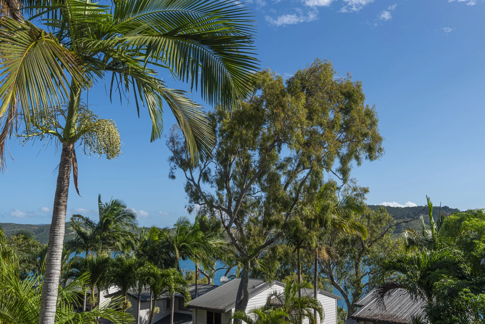 Additional image 7 of Oasis 1/2 Flametree Grove, Hamilton Island QLD 4803