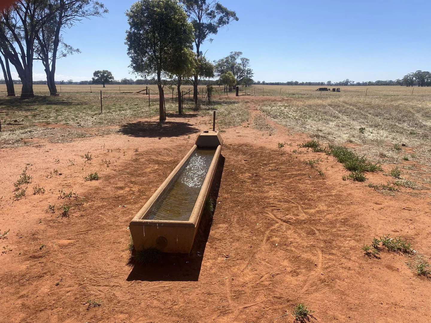 Additional image 7 of 441 Imries Lane, Tullibigeal NSW 2669