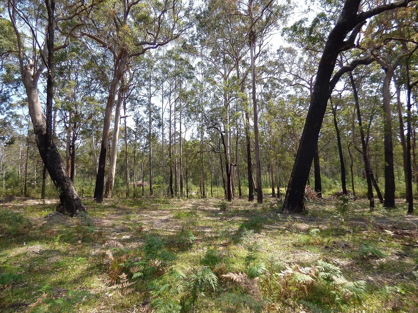 Additional image 10 of 72 Wonboyn Rd, Wonboyn VIA, Eden NSW 2551