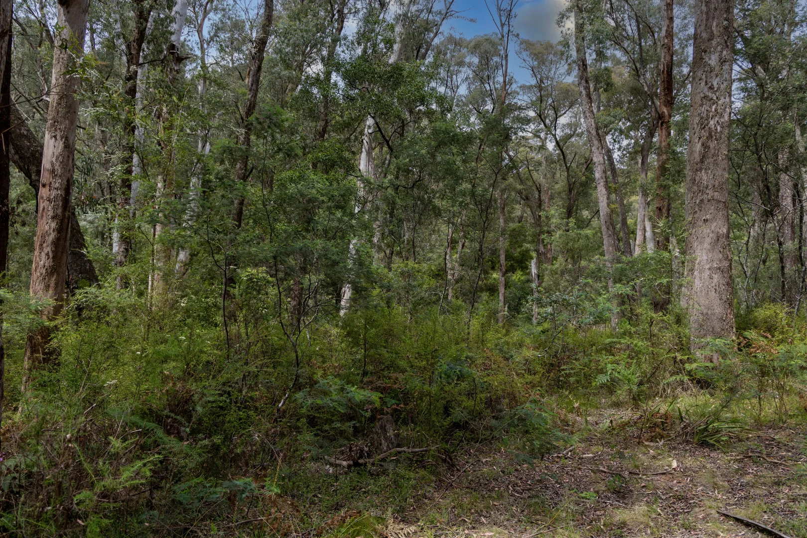 Additional image 12 of CA1 Mansfield-Woods Point Road, Knockwood VIC 3723