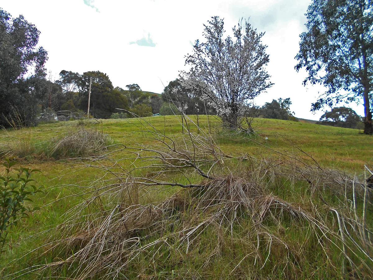 Additional image 27 of 33 Francis Ave, Gundagai NSW 2722