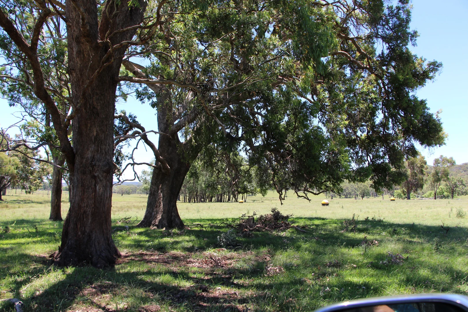 Additional image 17 of 134 Ruwenzorie Rd Wellingrove, Glen Innes NSW 2370