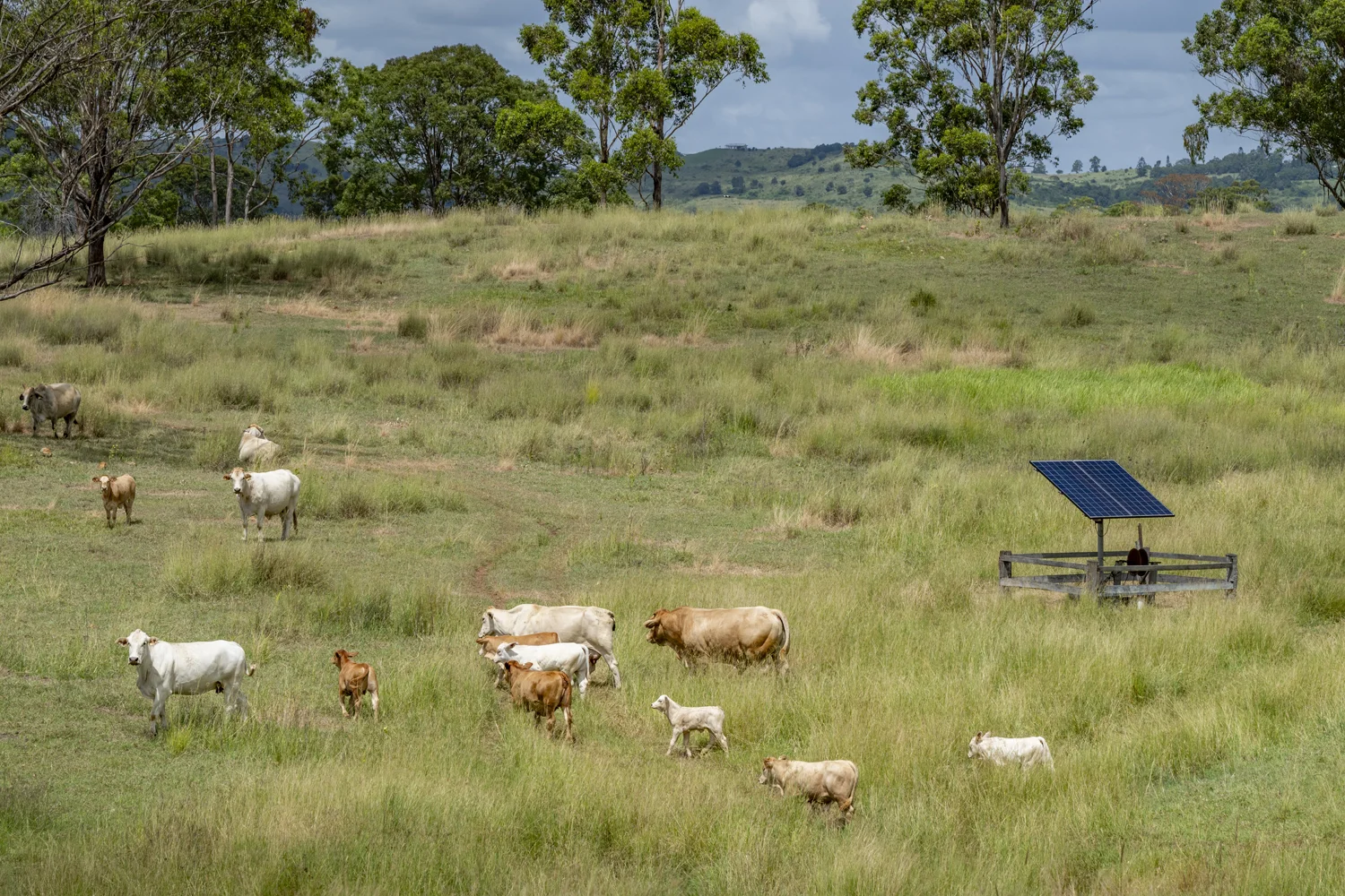 Additional image 4 of Goomeribong QLD 4601