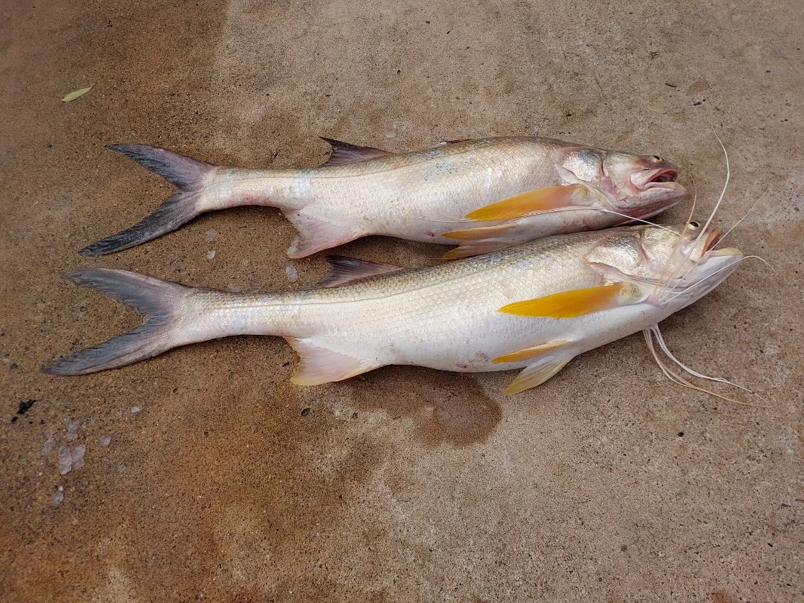 Additional image 4 of 381 Beaver Rock Road, Beaver Rock QLD 4650