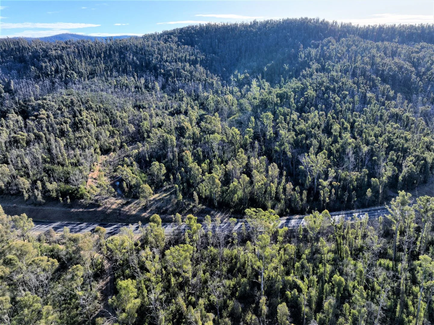 Additional image 14 of Lot 34, 35, 36, 79 Monaro Highway, Rockton NSW 2632