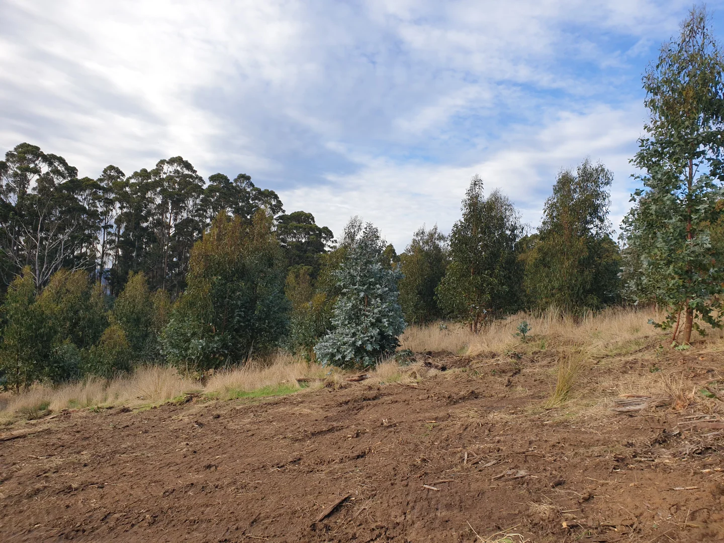 Additional image 4 of Lot 8 Paddys Lane, Franklin TAS 7113