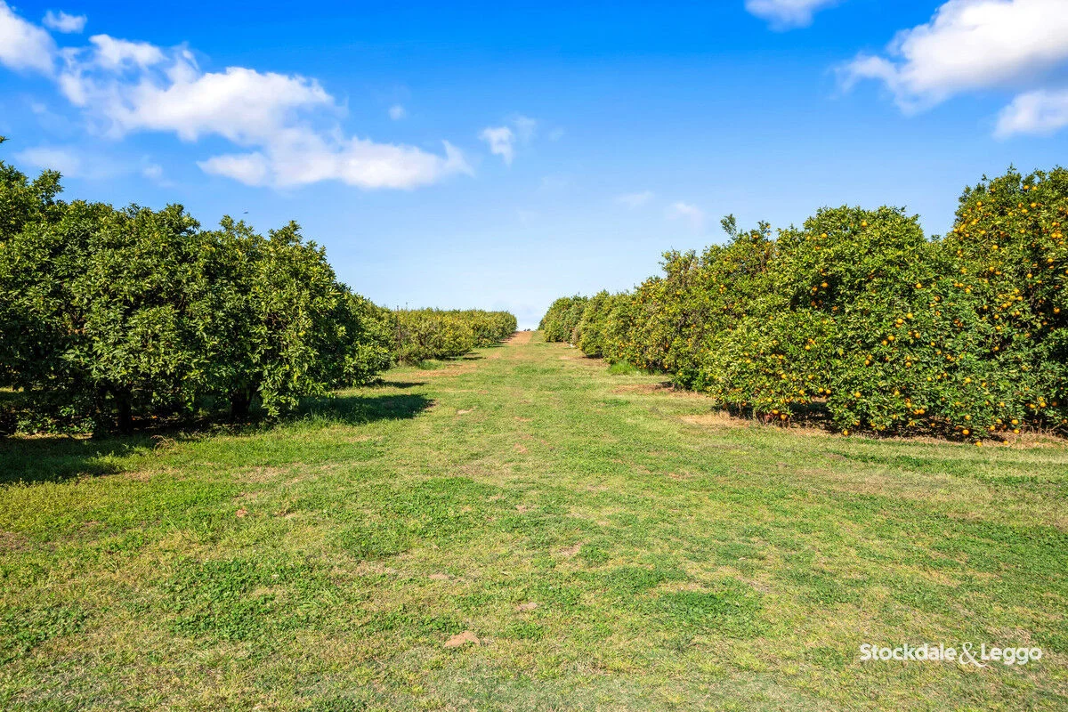 Additional image 30 of 154-198 Torgannah Road, Koonoomoo VIC 3644