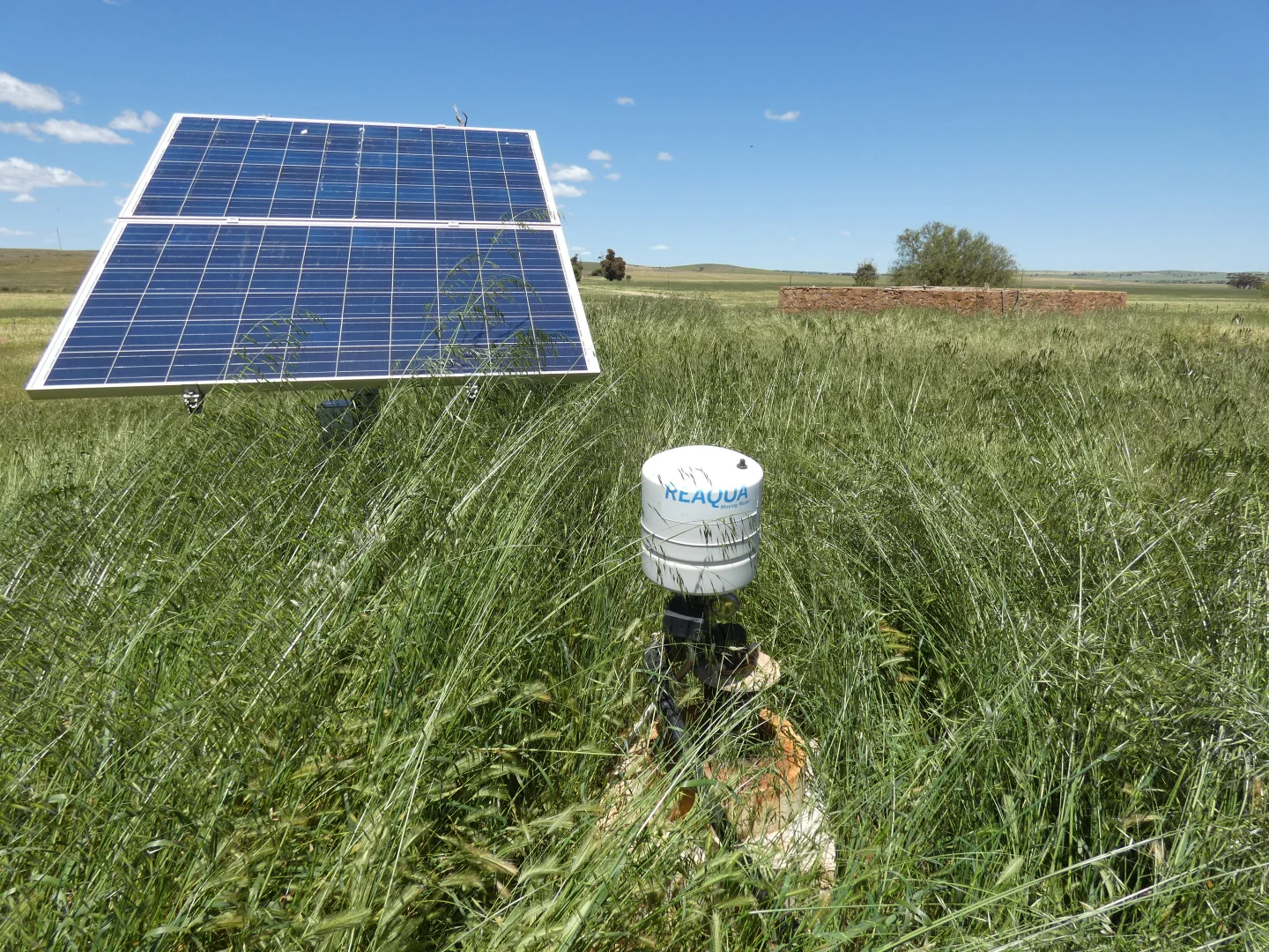 Additional image 12 of 1256 Belalie Rd, Canowie Belt SA 5420