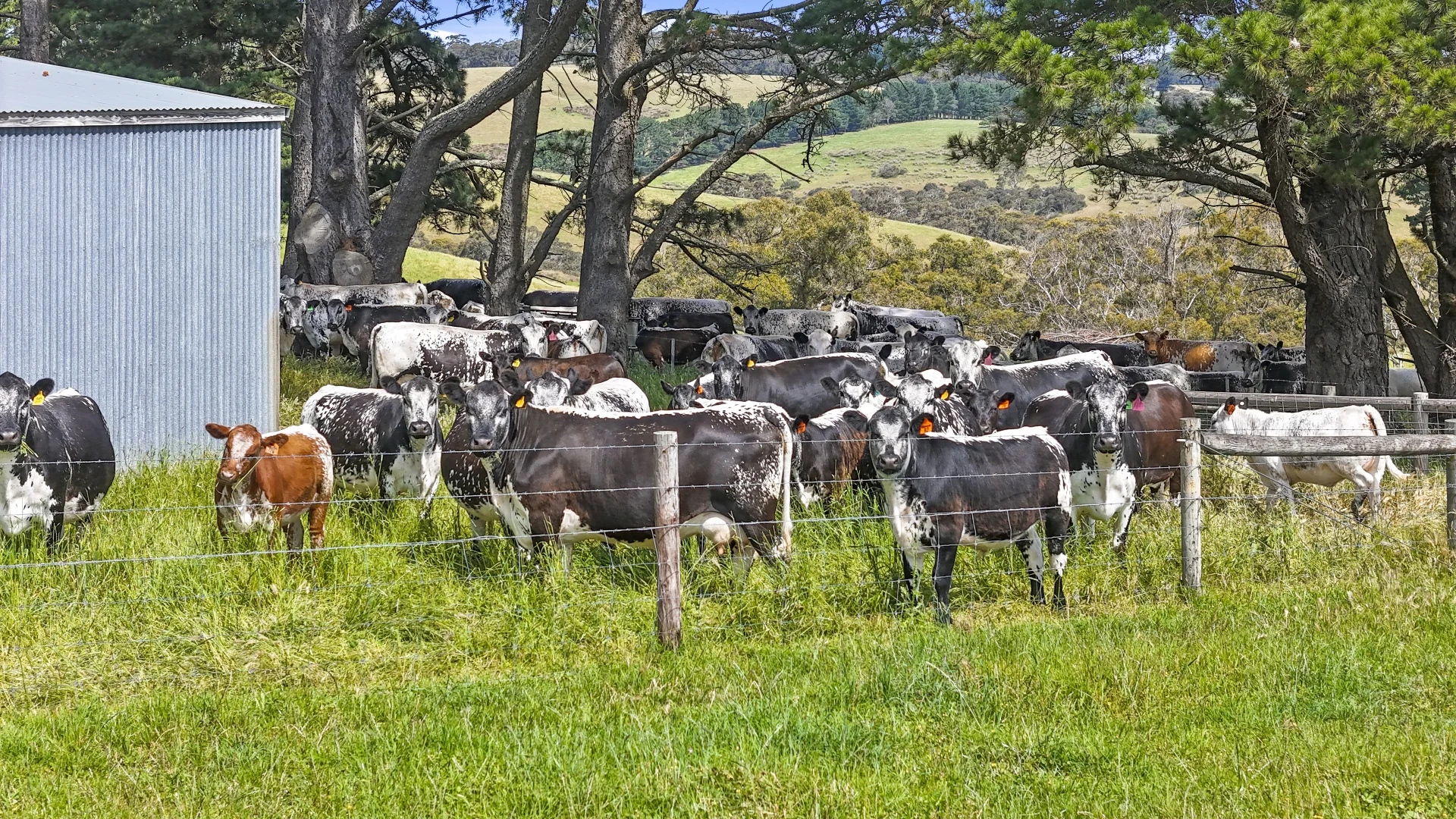 137 Faggotter Road, Myponga SA 5202