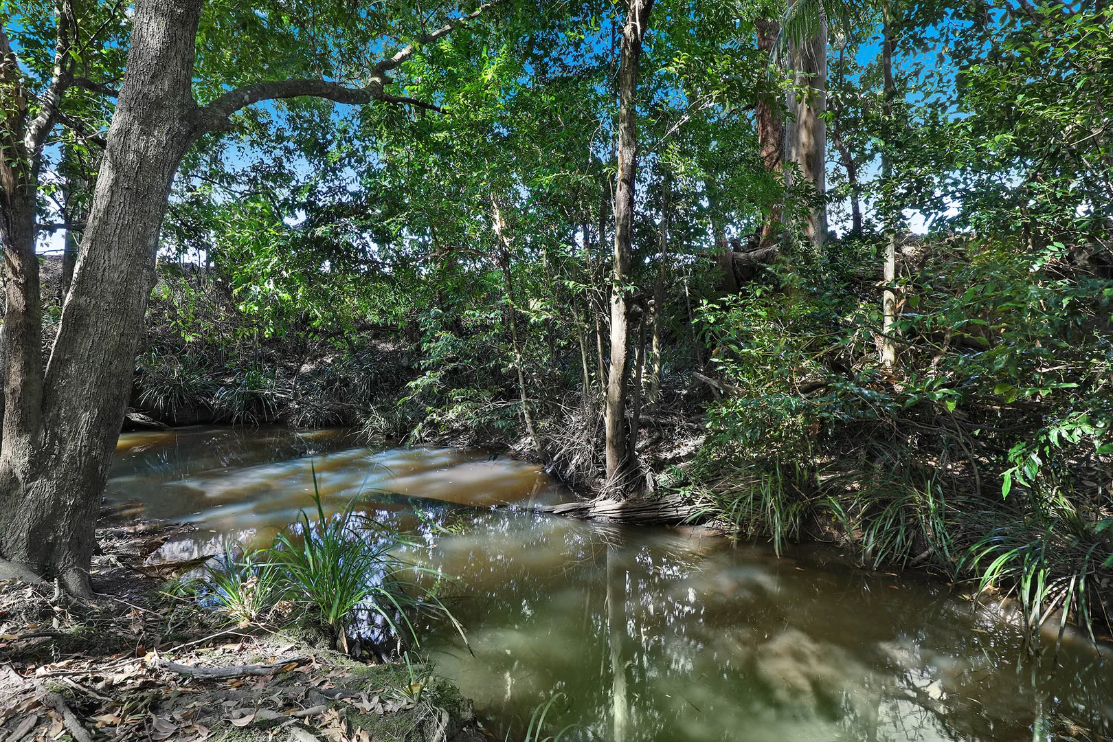 Additional image 8 of Lot 4/91 Yandina Bli Bli Road, Yandina QLD 4561