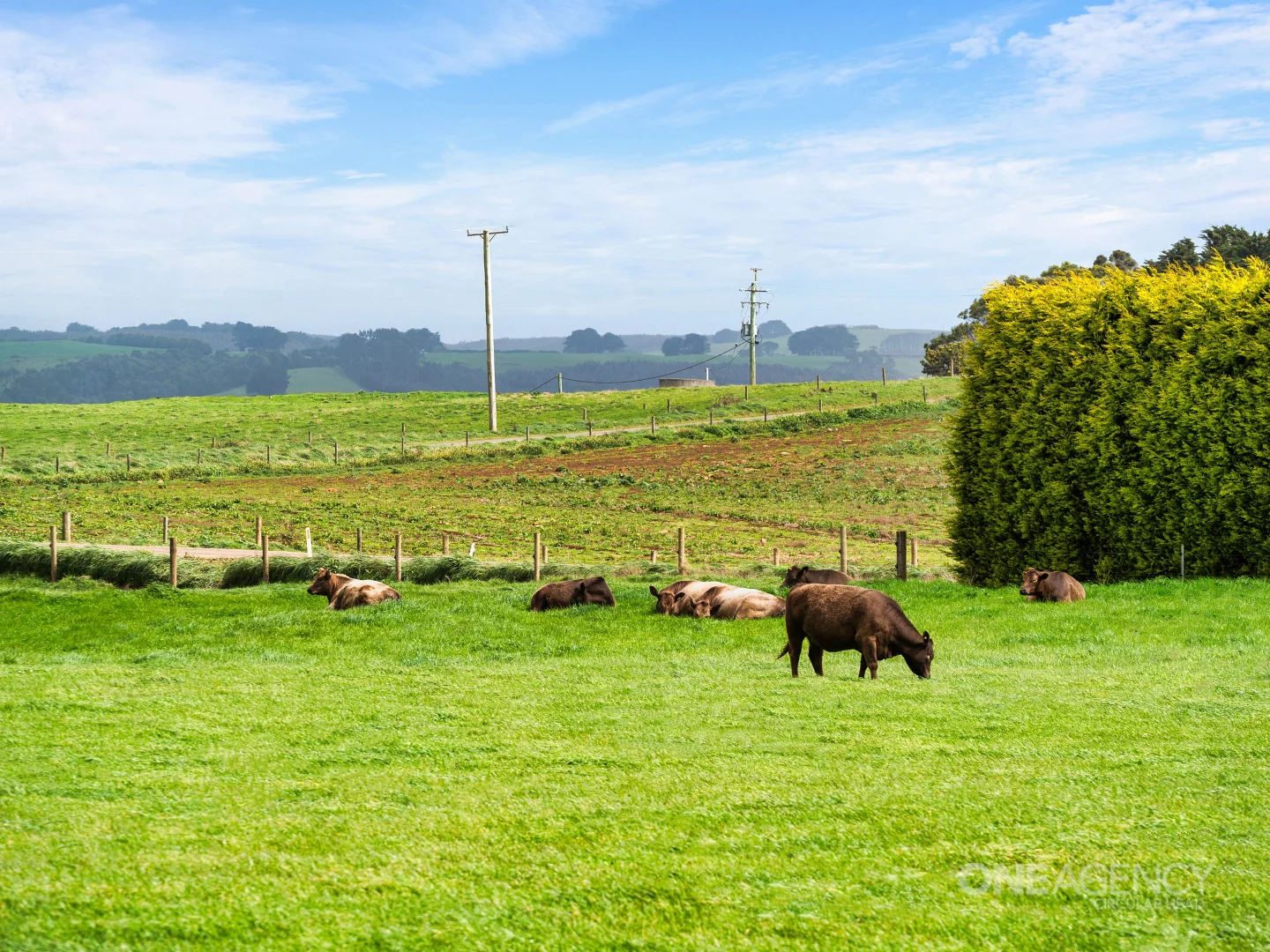 Additional image 5 of Cyathea Road, Forest TAS 7330