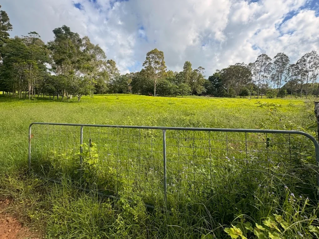 Additional image 8 of 25 Flaggy Rock Road, Clairview QLD 4741