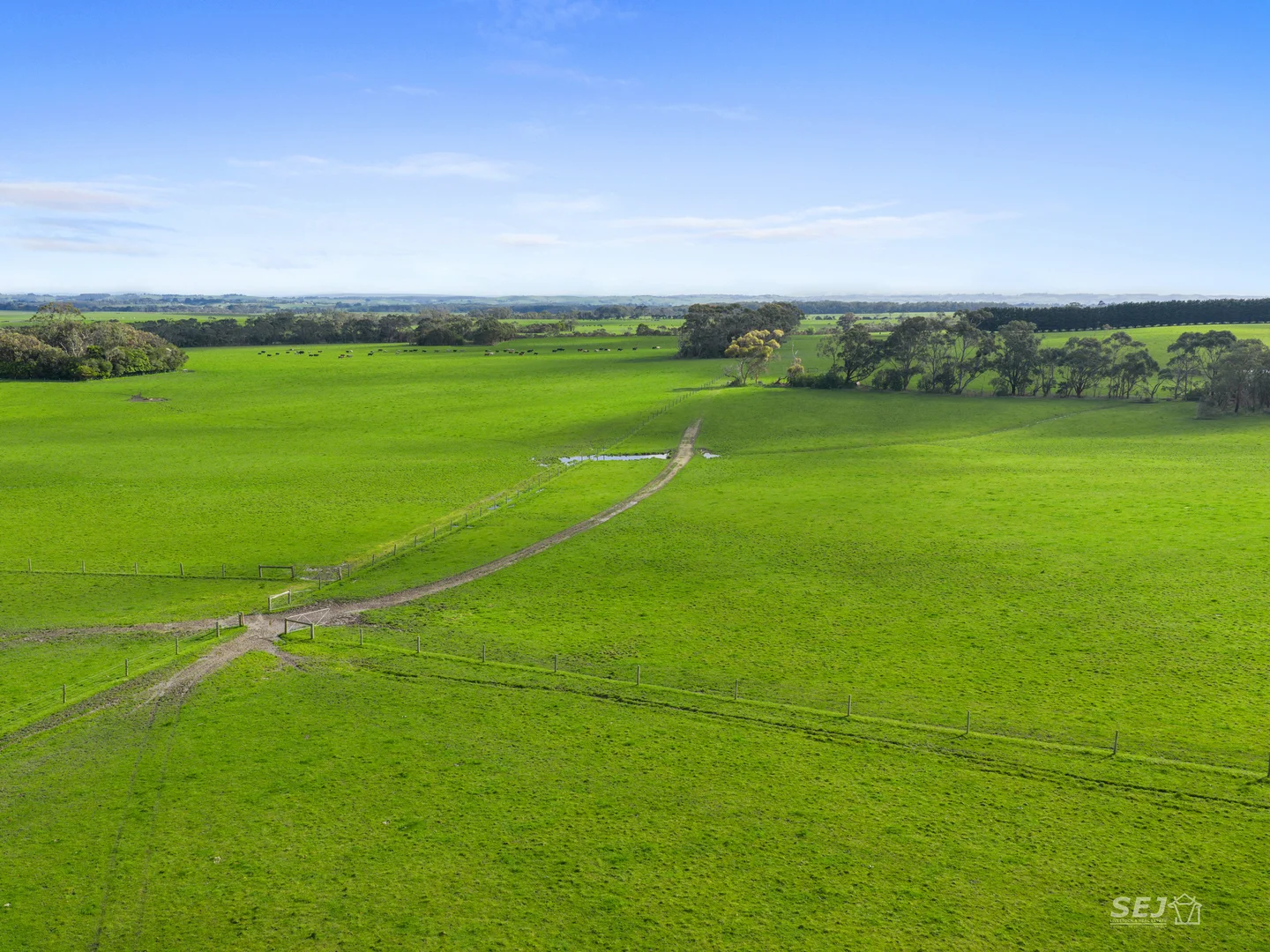 Additional image 8 of 115 Buffalo-Stony Creek Road, Buffalo VIC 3958