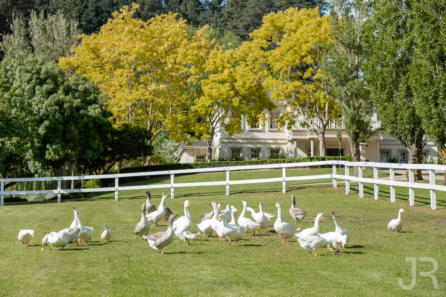 Additional image 18 of 159-179 Beaumont Road, Berwick VIC 3806