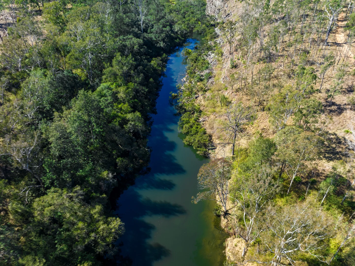 Additional image 19 of Lot 201 Paddys Flat Road, Tooloom NSW 2475