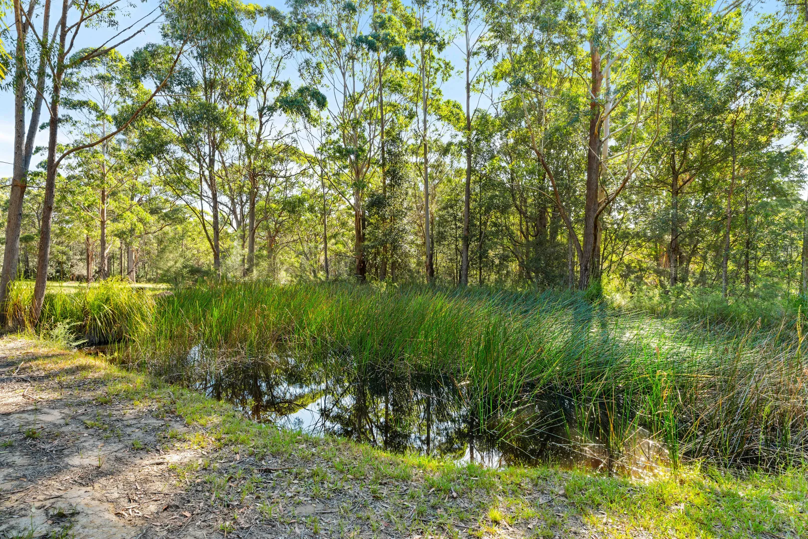 Additional image 41 of 303B Pine Forest Road, Tomerong NSW 2540