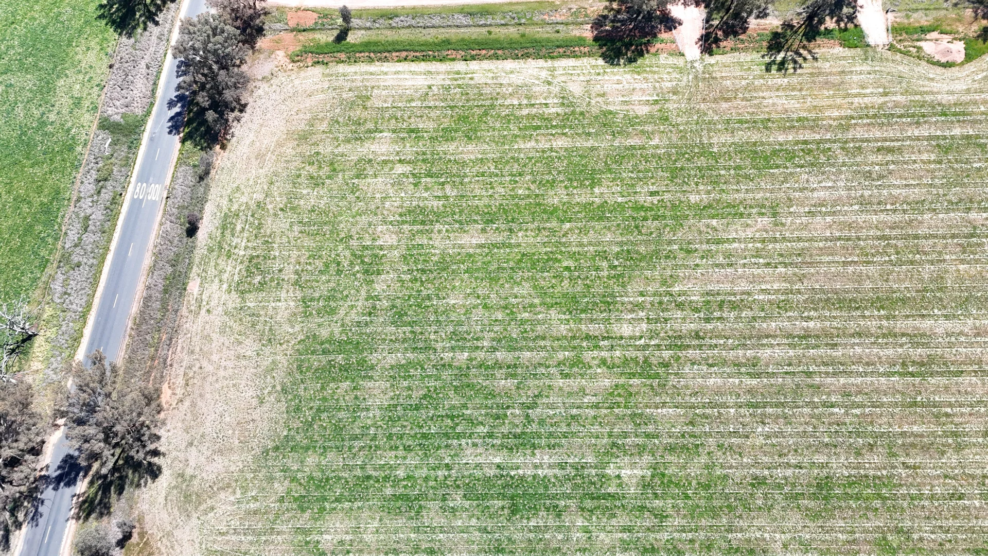 Additional image 2 of 109, 110, 111, 112 Halls Lane, Grenfell NSW 2810