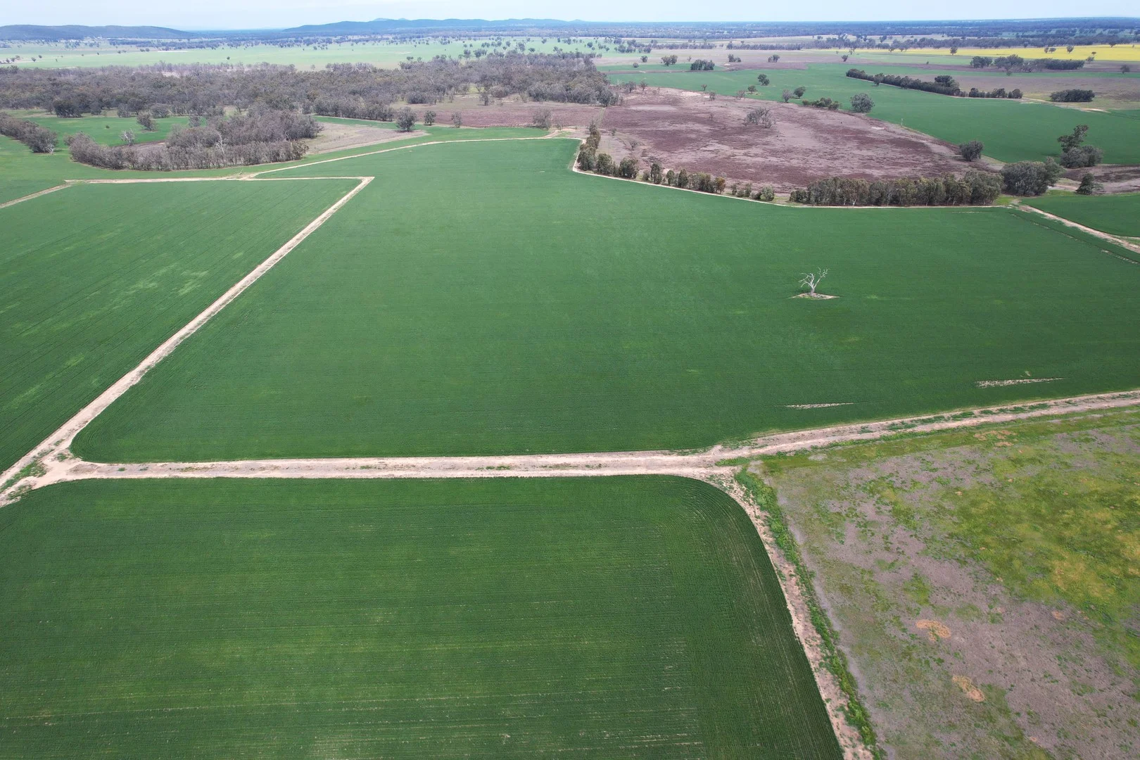 2071 Yarrabandai Road, Bedgerabong NSW 2871