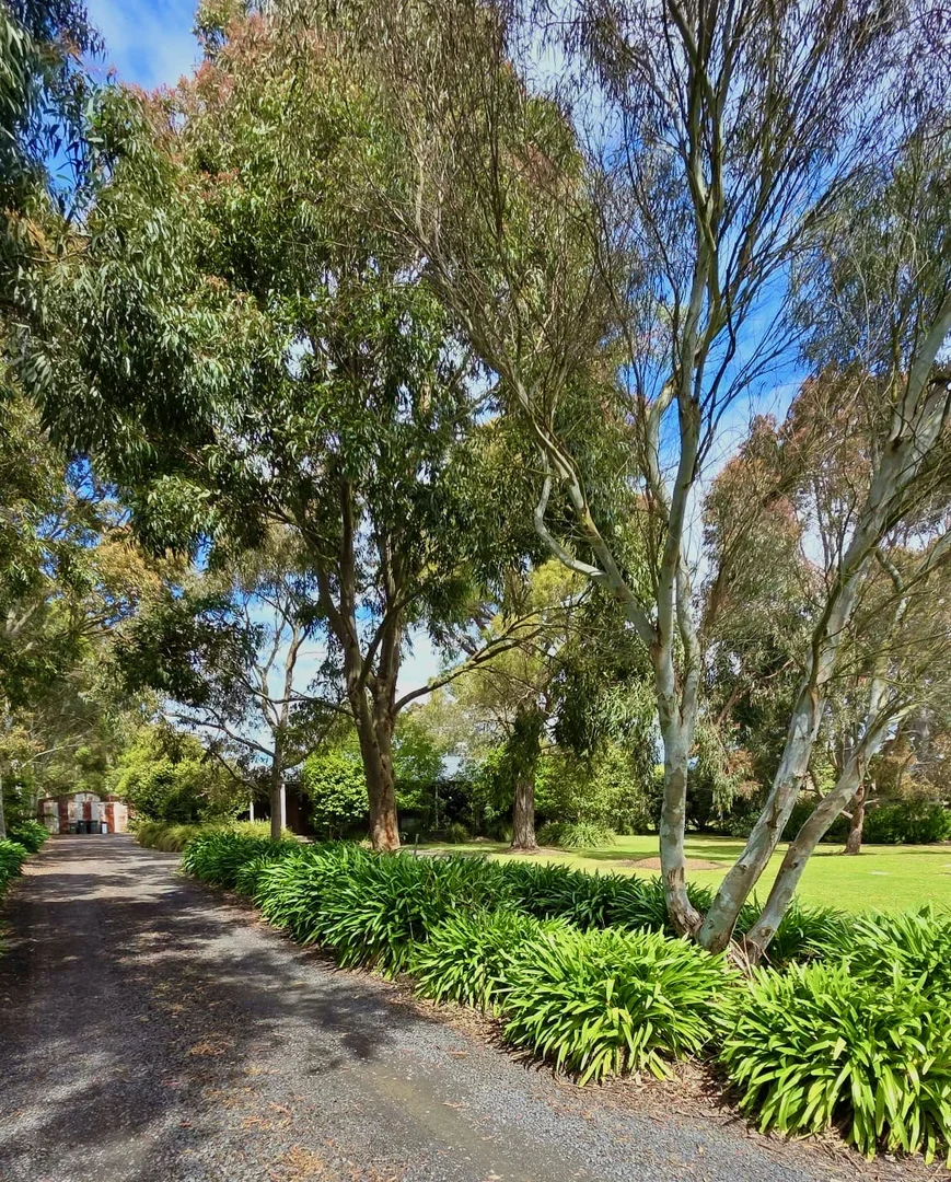 Additional image 23 of 97 Darnum-allambee Road, Darnum VIC 3822