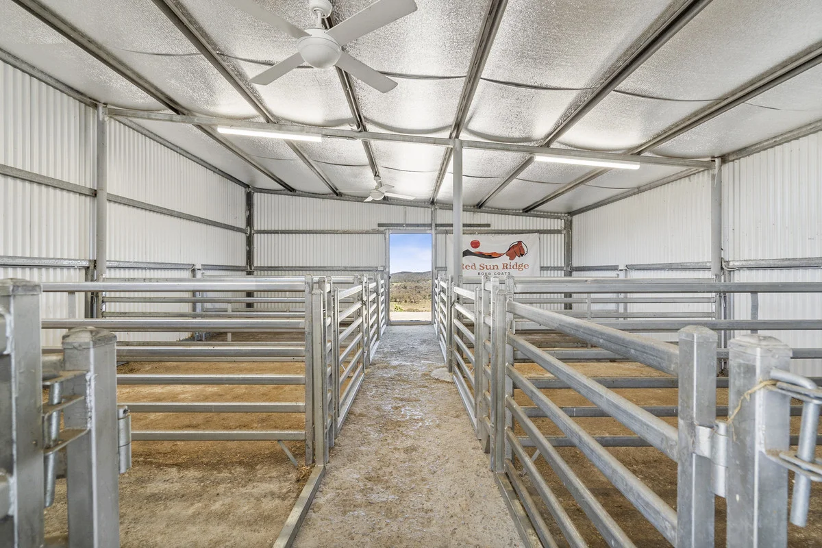 Additional image 28 of 149 Lakeview Road, Tarago NSW 2580