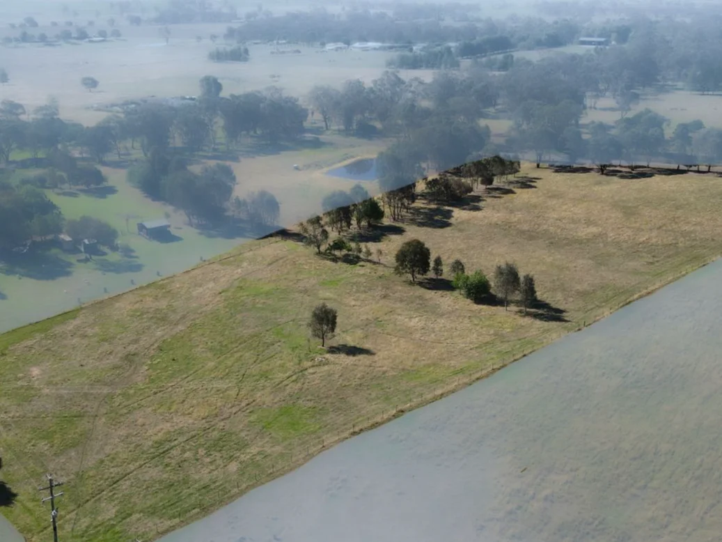 Additional image 2 of 225 Belmore Road, Young NSW 2594