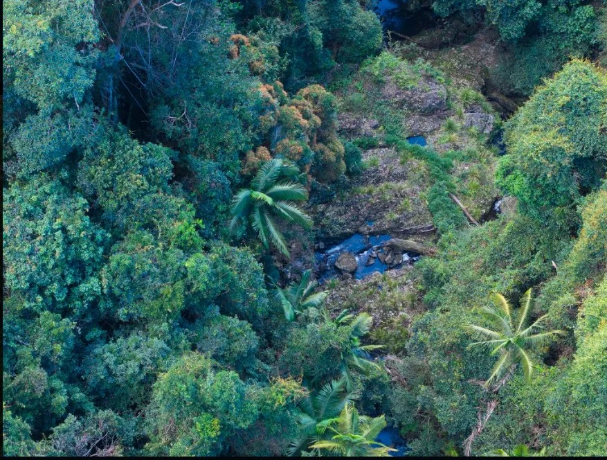 Additional image 9 of Lot 6/400 Bellthorpe West Road, Bellthorpe QLD 4514