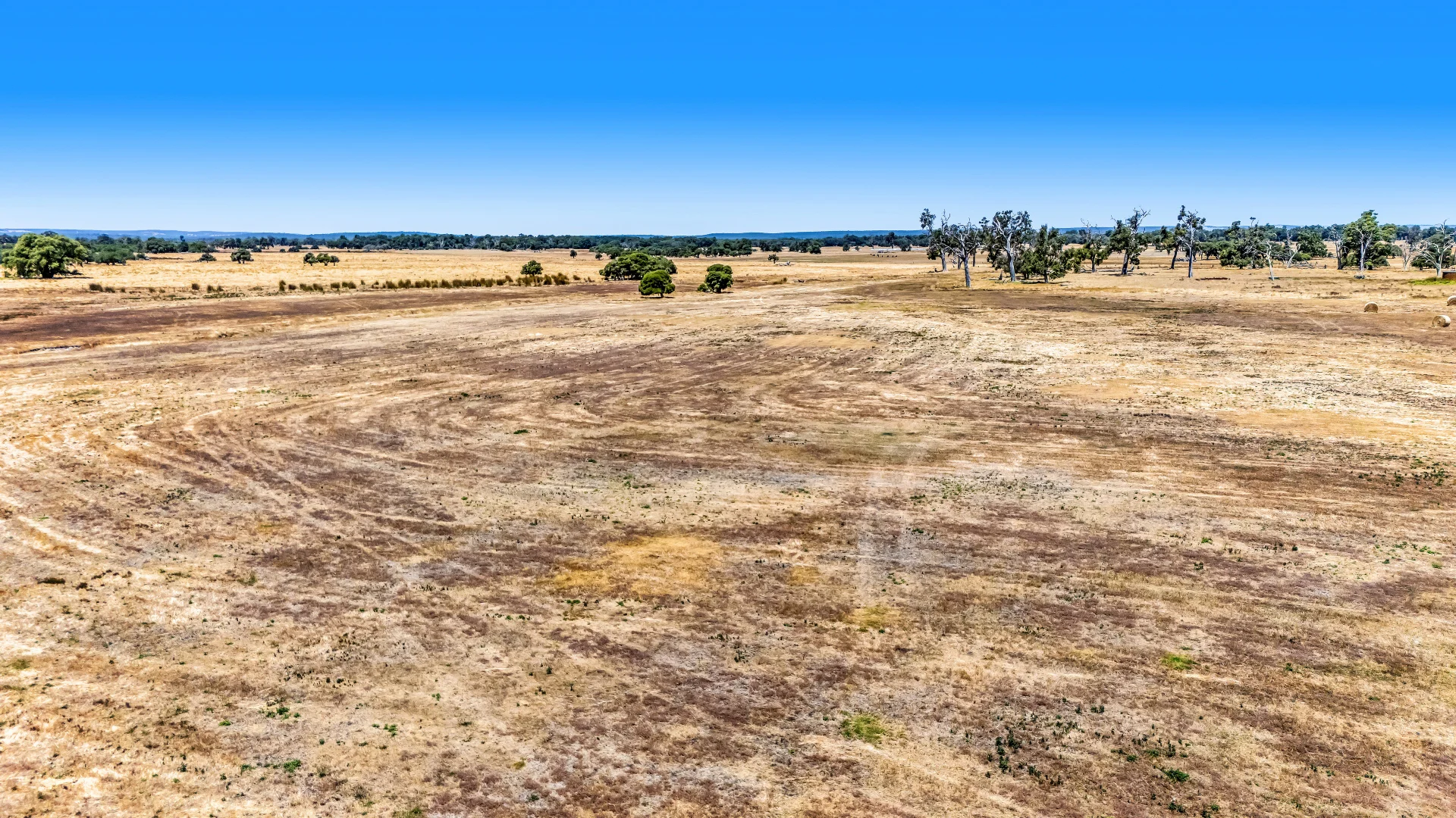 Additional image 9 of Lot 1 Jilley Road, Boyanup WA 6237
