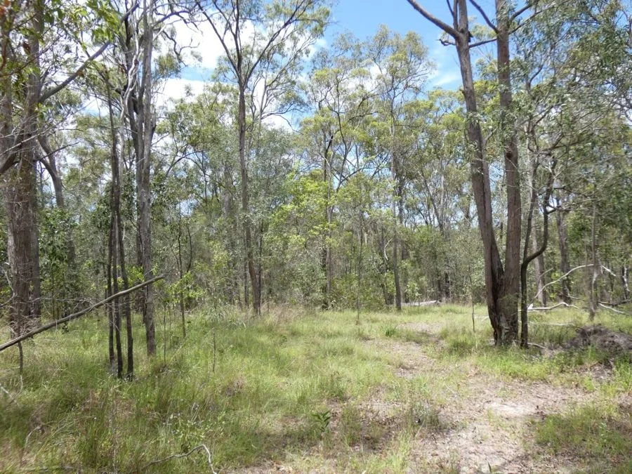 Additional image 14 of Lot 41 Moolyung Road, Waterloo QLD 4673