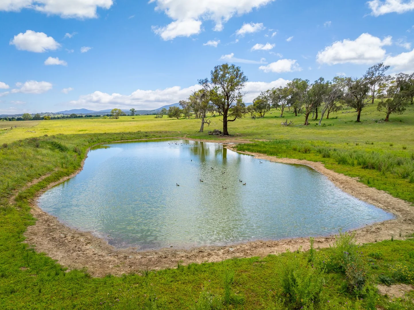 Additional image 8 of 188 Burkes Lane, Brewongle NSW 2795