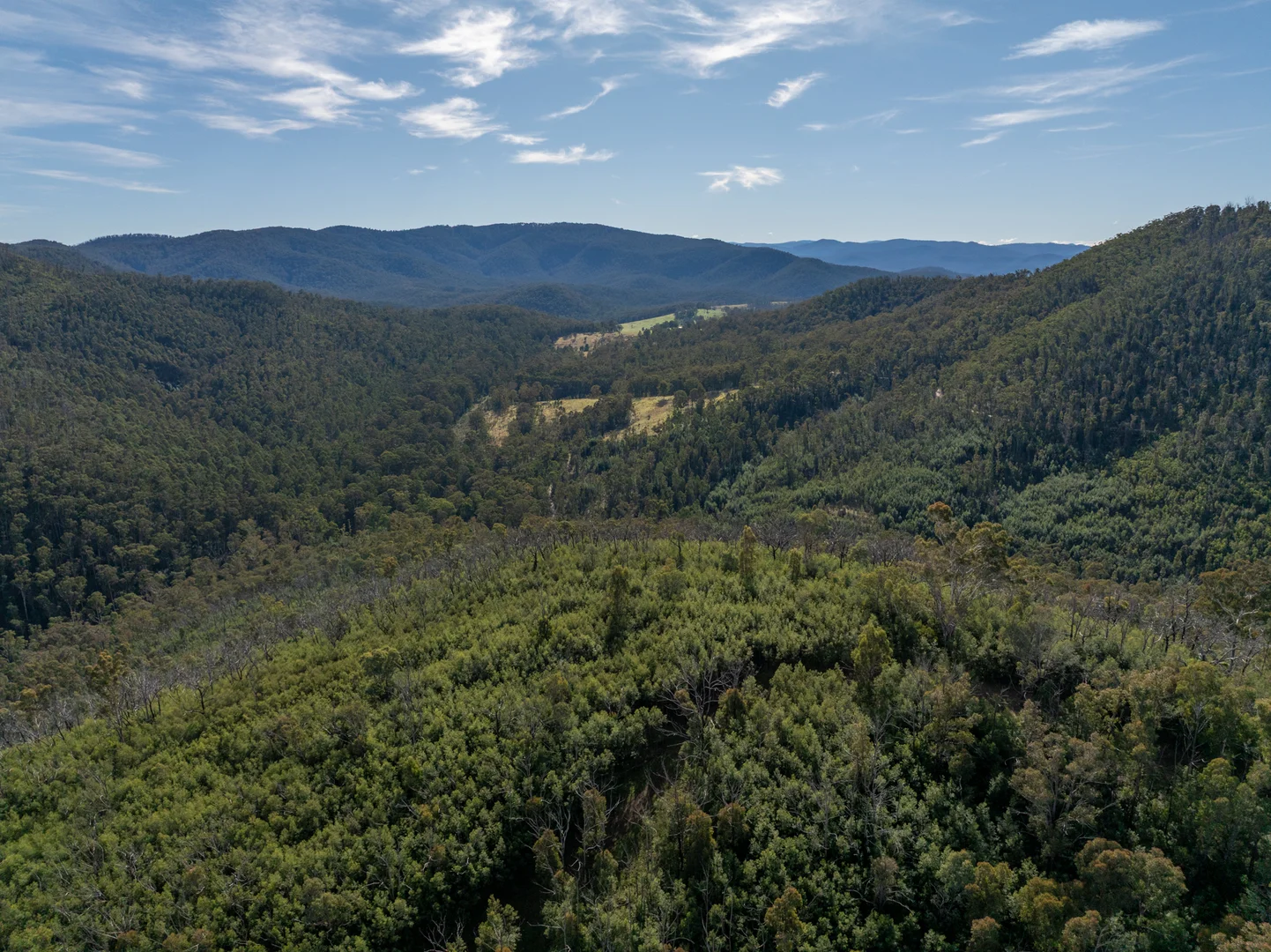 Additional image 3 of 3954 Tulloch Ard Road, Buchan VIC 3885