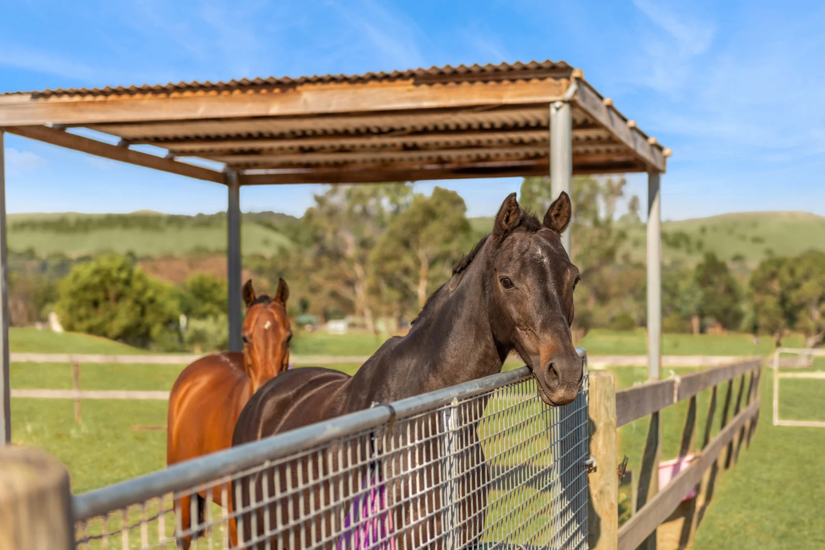 Additional image 14 of 105 Racecourse Road, Pyalong VIC 3521