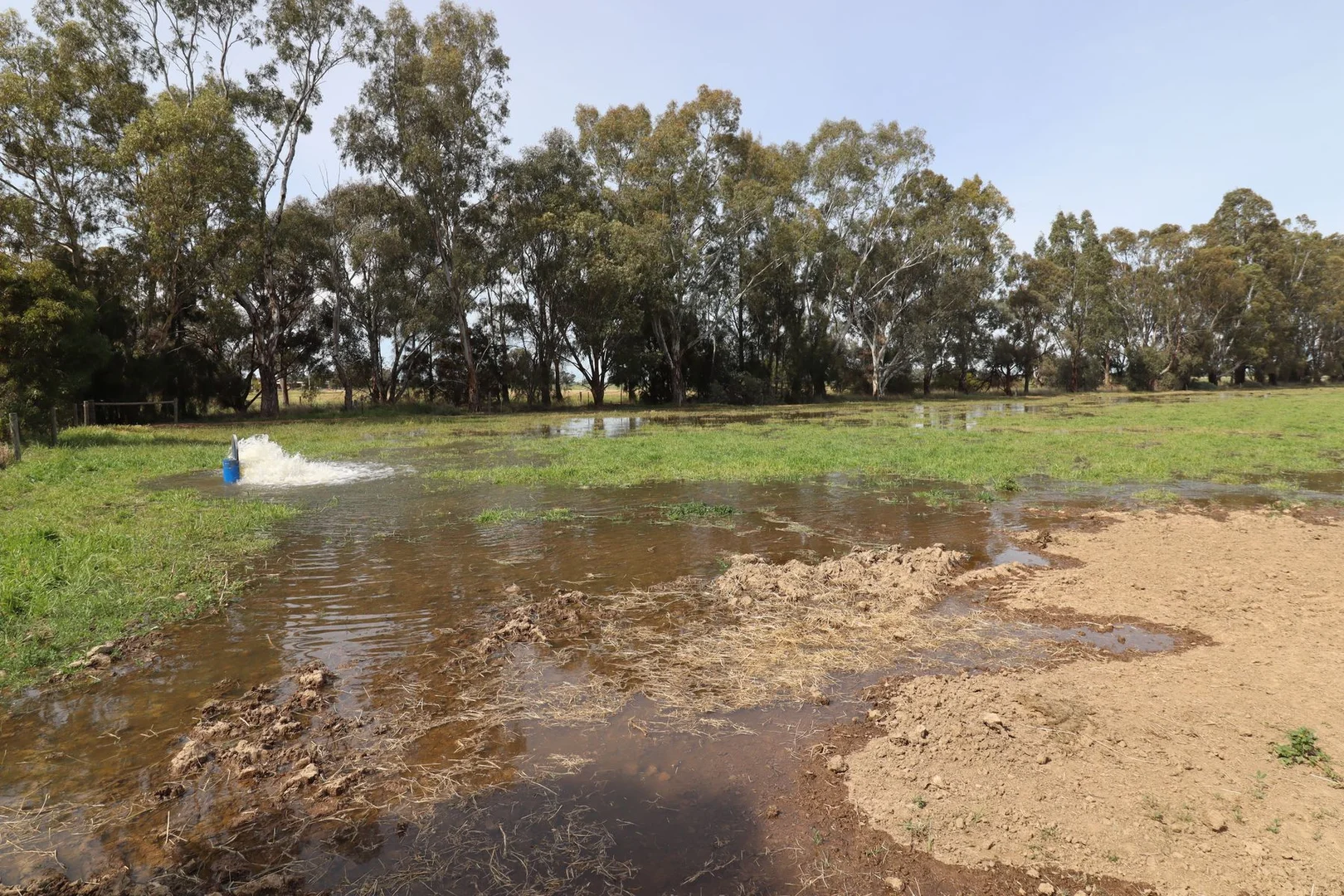 Additional image 26 of 135 Kennedys Road, Cohuna VIC 3568