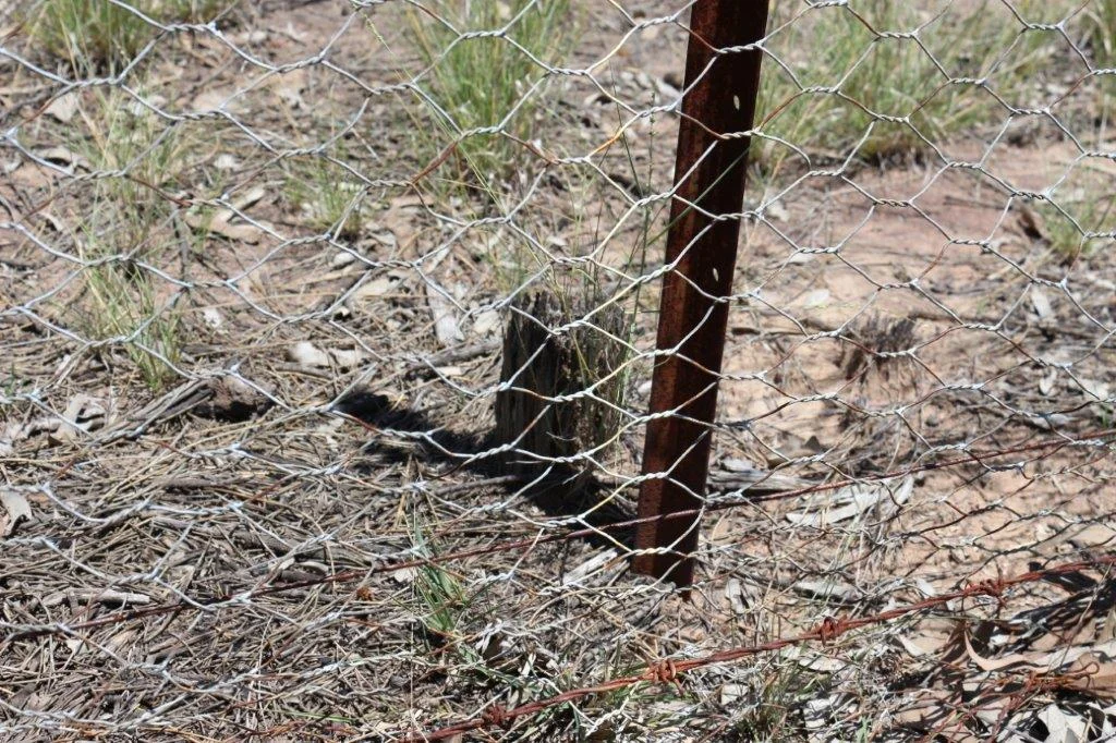 Additional image 8 of Tara QLD 4421