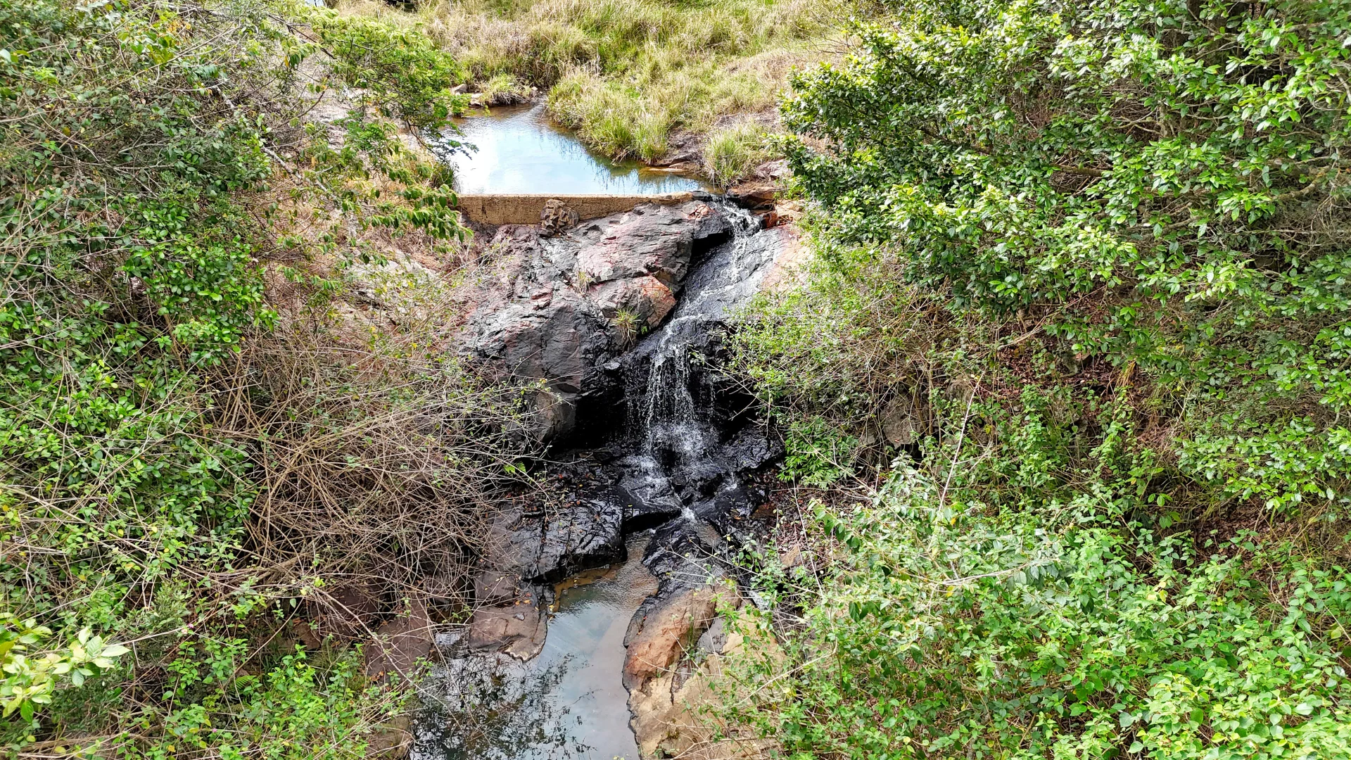 Additional image 22 of 279 Diggings Road, Eungella QLD 4757