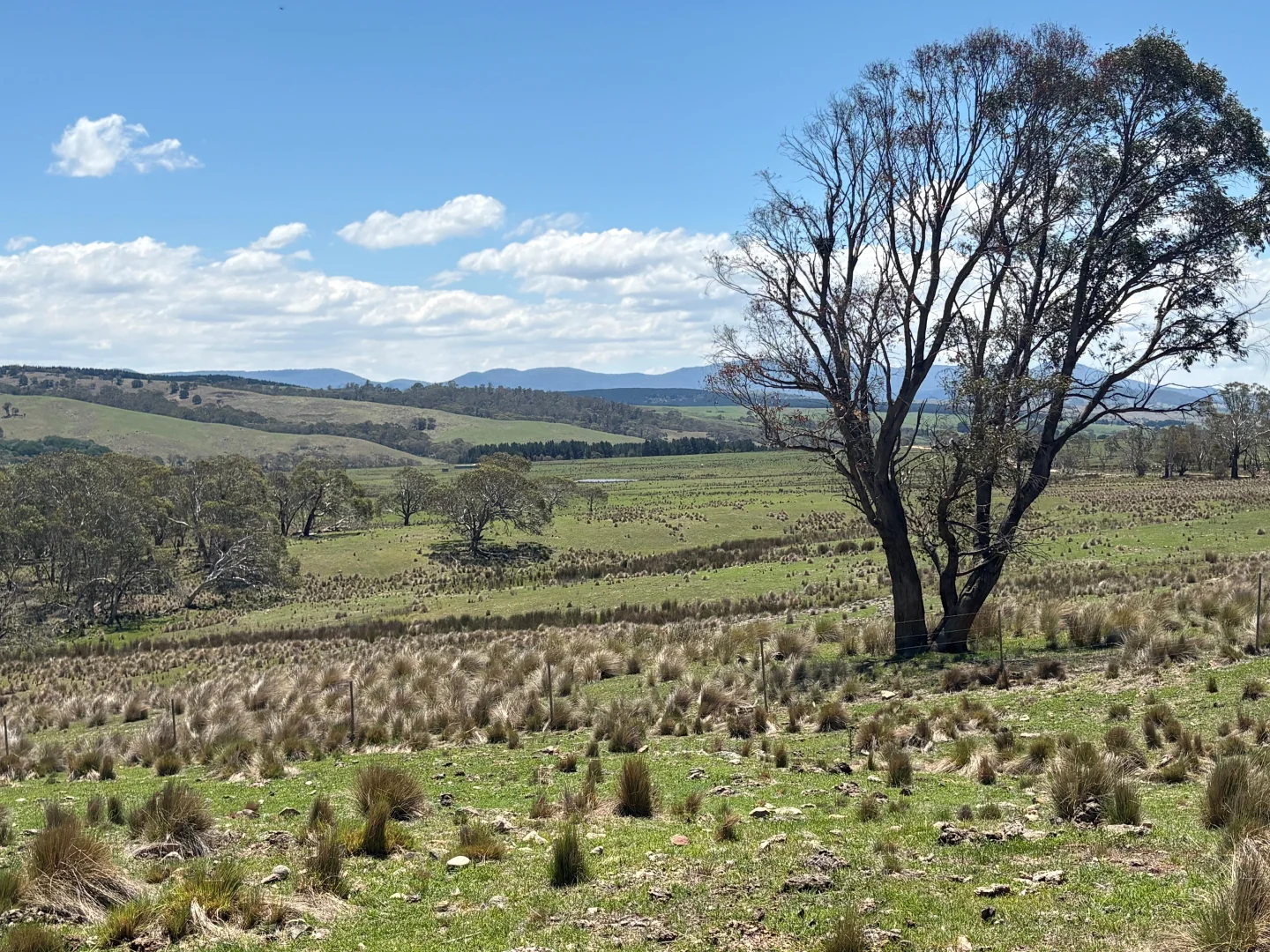 Additional image 23 of 130 Jerrabatgulla Road via Braidwood, Braidwood NSW 2622