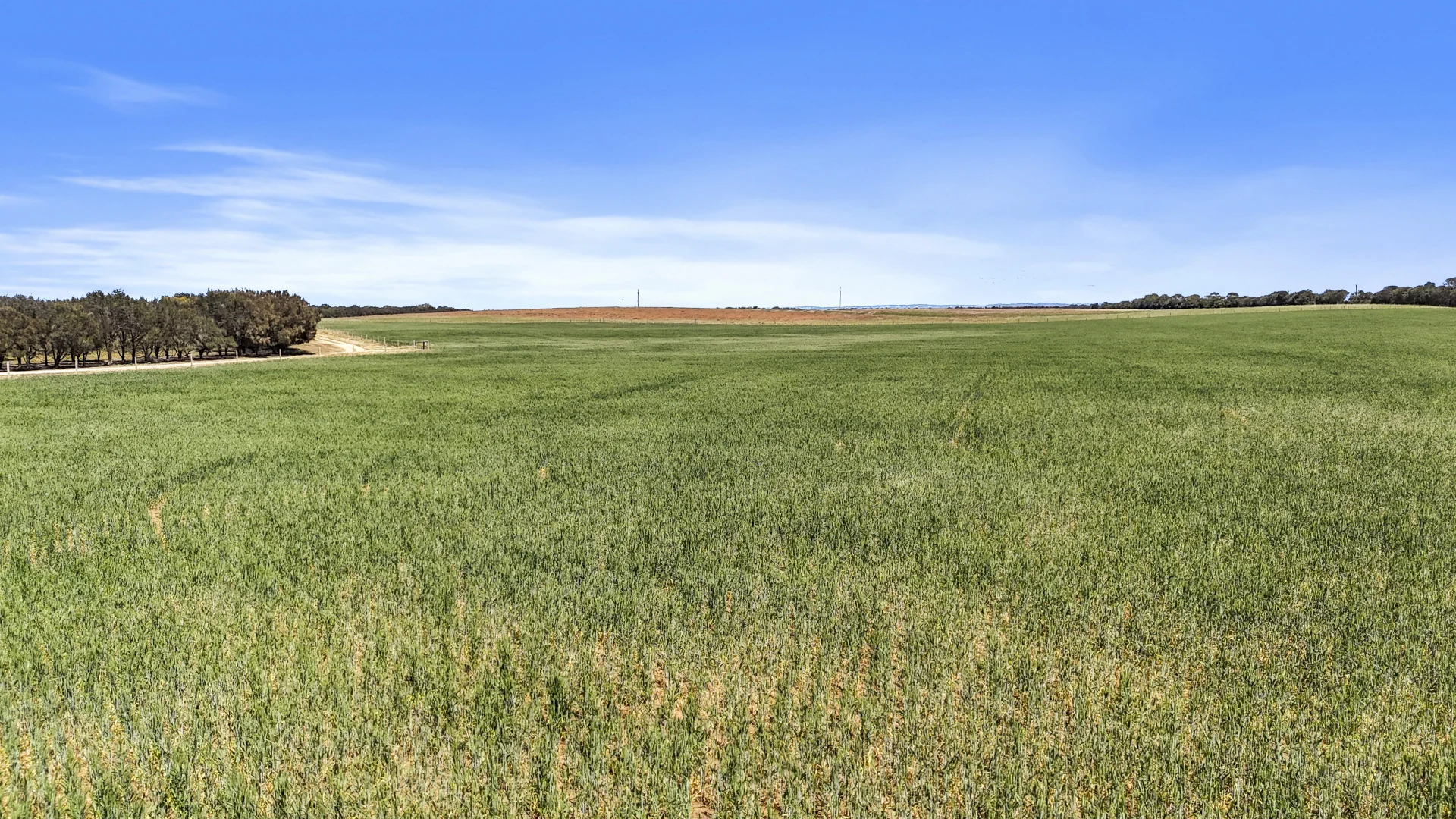 Additional image 12 of Lot 1 Tolderol Road, Langhorne Creek SA 5255