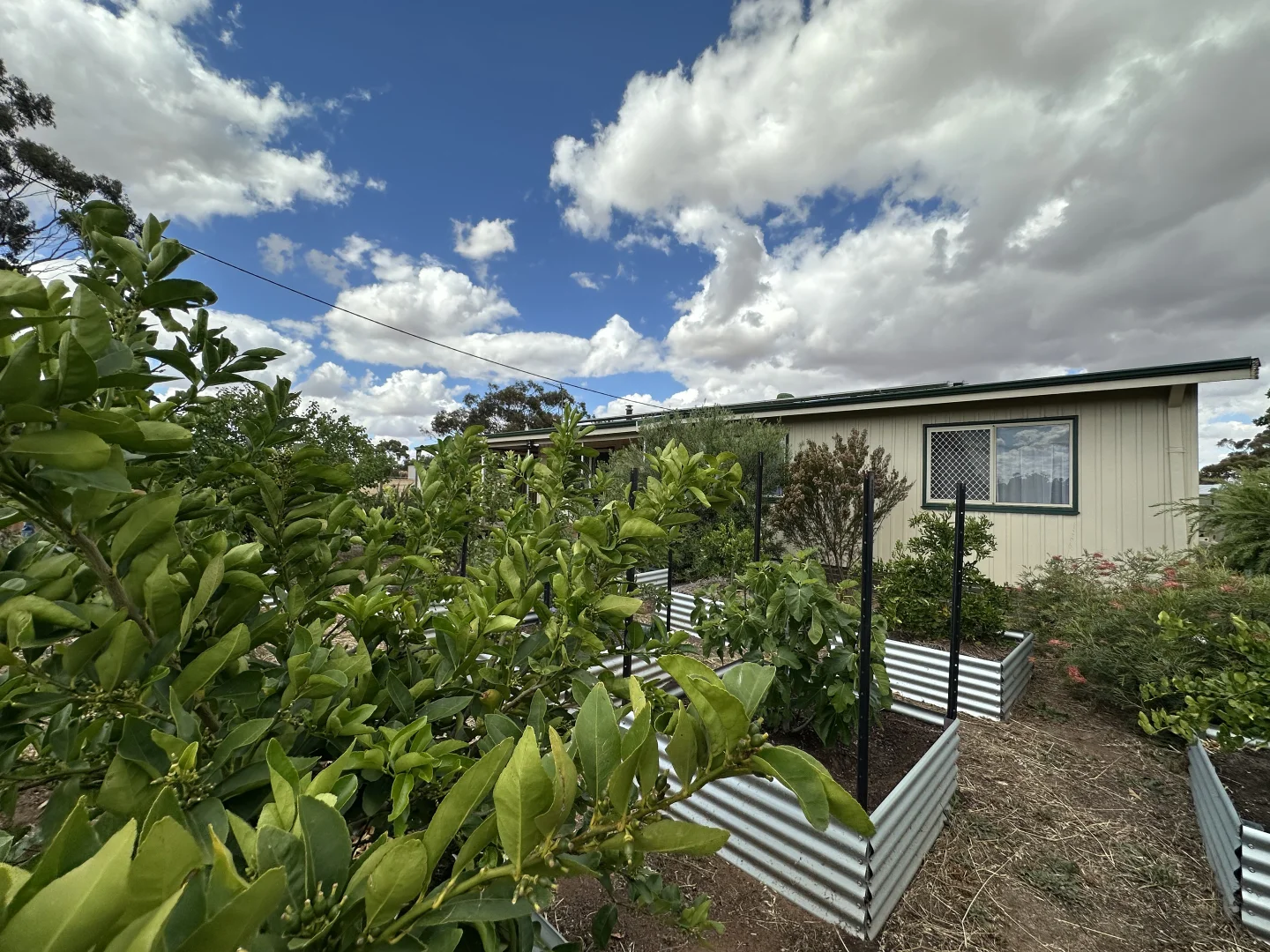 Additional image 33 of 22 Rifle North Street, Wagin WA 6315