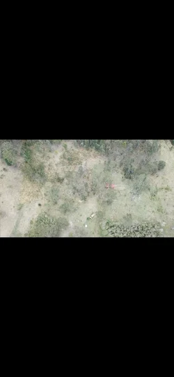 Additional image 19 of 179 Petroi Road, Lower Creek NSW 2440