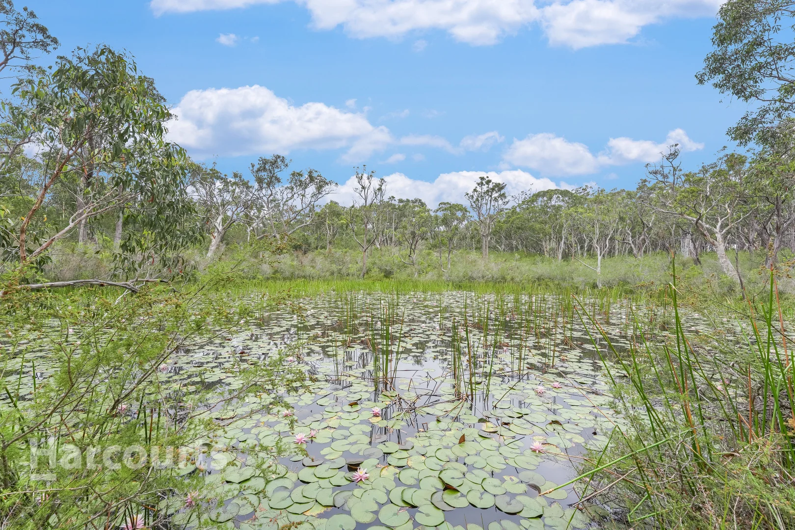 Additional image 23 of 49 Lysaght Road, Wedderburn NSW 2560