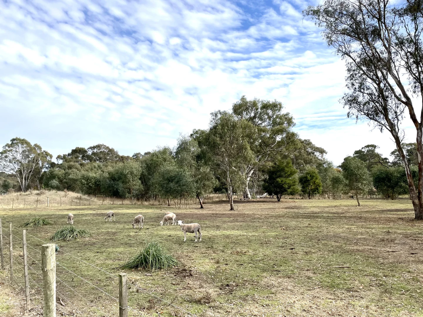 Additional image 18 of 7 Tuckett Street, Casterton VIC 3311