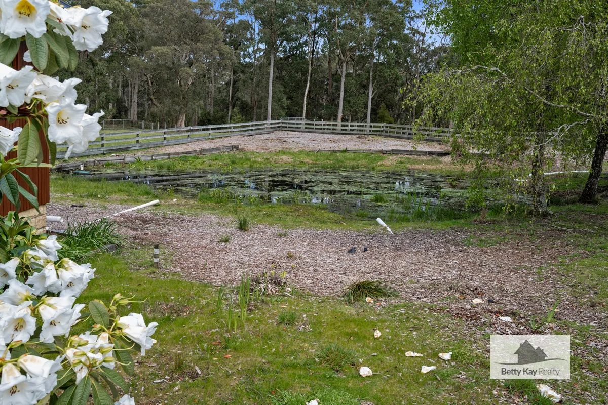 Additional image 28 of 93 Mella Road, Smithton TAS 7330